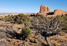 아치스 국립공원의 3억년 역사